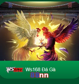 88nn